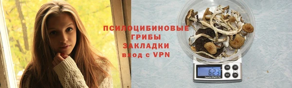 прущая мука Богданович